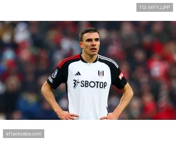 帕利尼亚的抢断能力解析